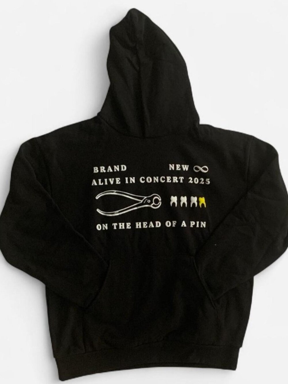 Brand New Alive in Concert 2025 Tour Hoodie Size XL